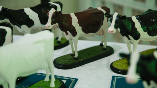 APCBRH premia os principais criadores de bovinos leiteiros da região de Toledo em jantar regional