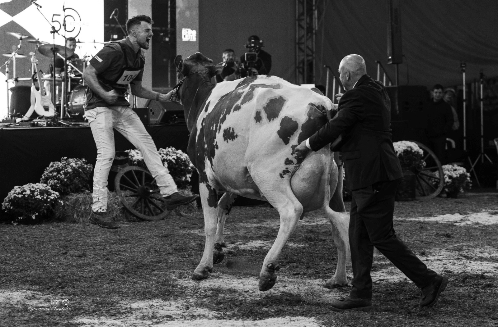 EXPOLEITE 2024: 50ª edição reúne mais de 20 mil visitantes e celebra o gado holandês em Arapoti