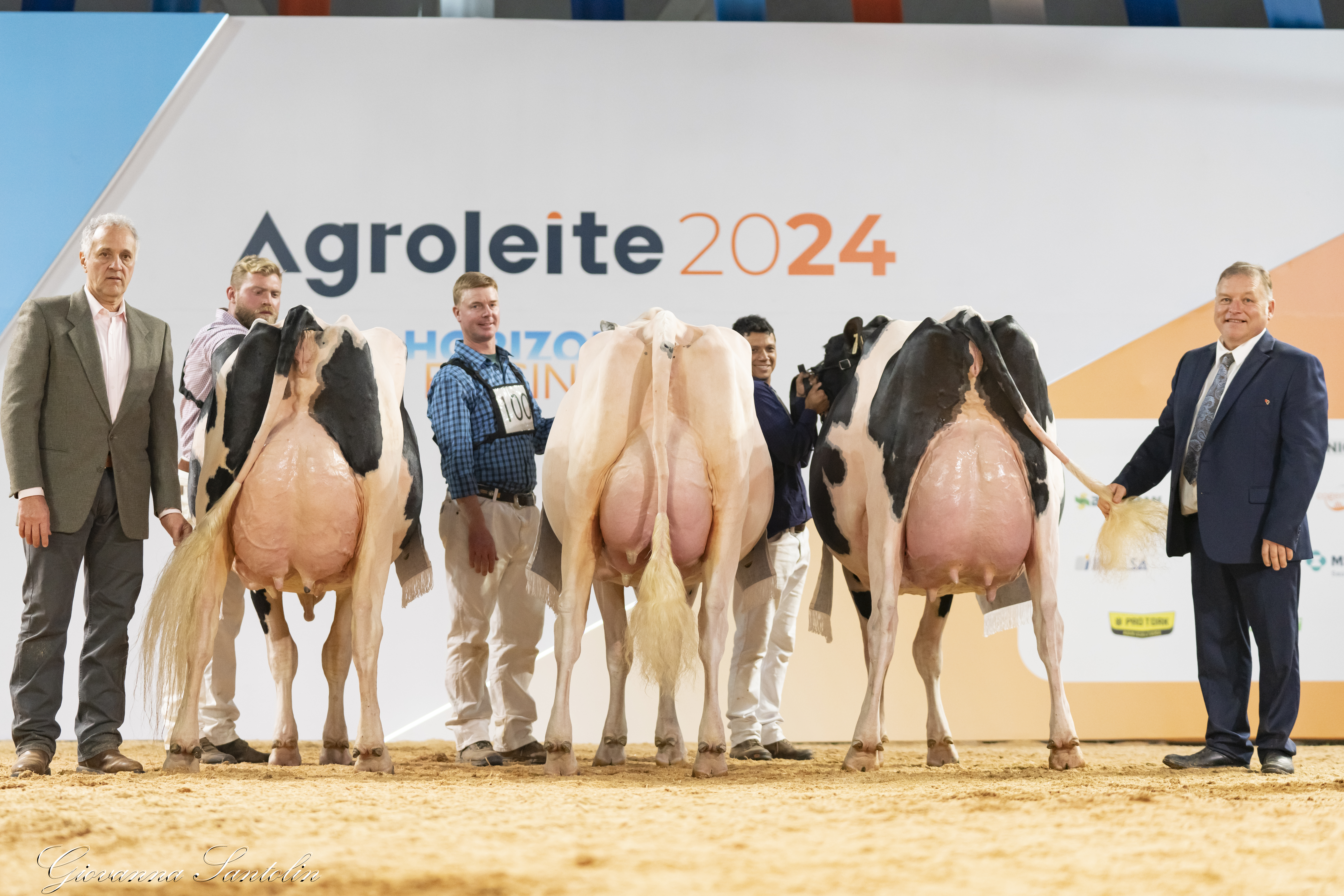 Agroleite 2024: Excelência em Animais  e Sucesso da Pecuária Leiteira Nacional 