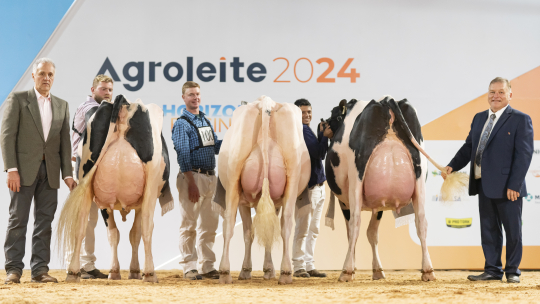 Agroleite 2024: Excelência em Animais  e Sucesso da Pecuária Leiteira Nacional 